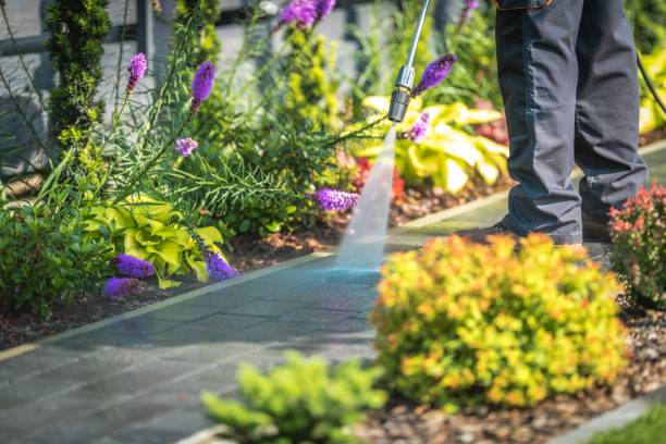 Best Animal Enclosure Cleaning  in North Branch, MI