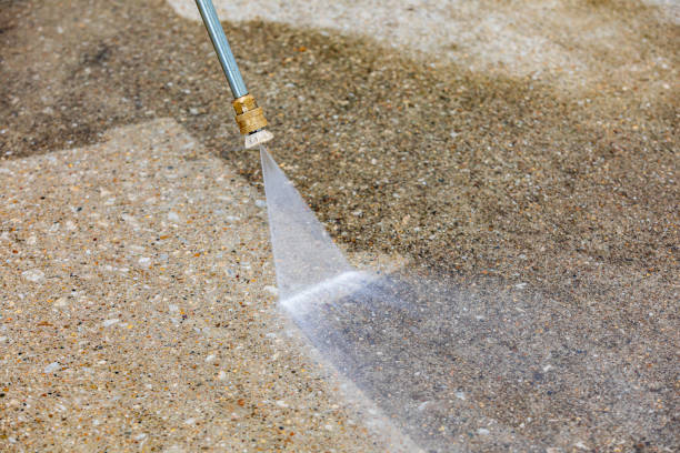 Best Building Exterior Washing  in North Branch, MI
